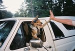 High-five.jpg