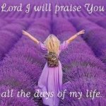 PraiseYou.jpg PraiseYou.jpg
