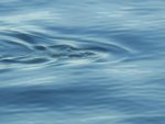 DSCN5446.jpg