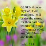 f87514054b890ef41391d9bcc1d3bcf7--isaiah--bible-isaiah.jpg