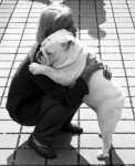 hug-a-bulldog-today.jpg