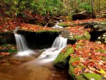 3dnaturewallpapers.jpg