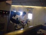 panda on the plane.jpg