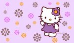 hello-kitty-pur.jpg