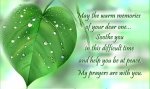 sympathy-quotes-may-the-warm-memories-of-your-dear-one-soothe-you-in-this-difficult-time-and-hel.jpg