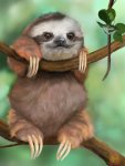 c2dc897ac0da28b3623f87ce66cf758f--rare-animals-animal-pictures.jpg c2dc897ac0da28b3623f87ce66cf758f--rare-animals-animal-pictures.jpg