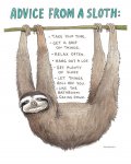 b709ea3ff293aec25df555cf6683eaa3--funny-sloth-a-sloth.jpg b709ea3ff293aec25df555cf6683eaa3--funny-sloth-a-sloth.jpg
