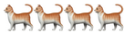 4 Cats.png