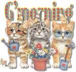 animal-graphics-cats-862235.gif animal-graphics-cats-862235.gif