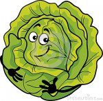 cute-cabbage-vegetable-cartoon-illustration-funny-comic-green-lettuce-food-character-30449308.jpg