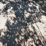 IMG_20170821_142118_814.jpg