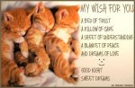167161-My-Wish-For-You.jpg