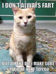 Twenty-Five-Funny-Cat-Fart-Meme-The-Internet-Has-Ever-Made.jpg