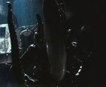 Xenomorph_002.jpg