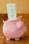 60b81f32d2fcbf2d32538c6d44edb2a3--piggy-banks-want-you.jpg