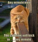 Caffeine Kick.jpg Caffeine Kick.jpg