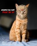 Friday 13th.jpg Friday 13th.jpg
