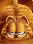 tenor.gif