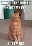 Cat's Human.jpg Cat's Human.jpg