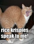 Rice Krispies.jpg