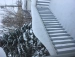 IMG_3536.jpg