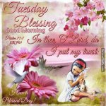 256853-Tuesday-Blessings-Good-Morning.jpg