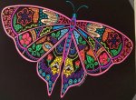 Butterfly 6.jpg