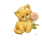 moving-clipart-cat-18.gif
