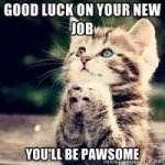 New Job.jpg