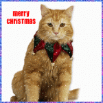 christmas-graphic-cute-kitty.gif