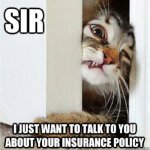 cat at door.jpg