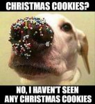 CHRISTMAS COOKIES.jpg