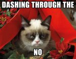 grumpy cat.jpg