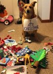 ate christmas.jpg