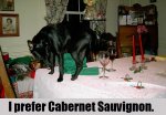 wine too dry.JPG