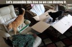 assemble the tree.jpg