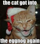 a27175fc5ebedee9c3340d096c49251a--christmas-holidays-christmas-kitty.jpg
