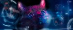 cat likes lights.jpg