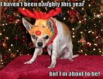 naughty.jpg