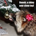 eat the ornaments.jpg