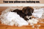 pillow ripped.jpg