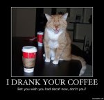 I Drank Your Coffee.jpg