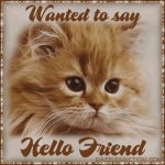 Hello, Friend.jpg