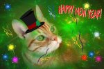 happy_new_year_cat_-_chrismatos2.jpg