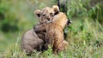 hugs.jpg