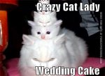 funny-cat-pics-crazy-cat-lady-wedding-cake.jpg funny-cat-pics-crazy-cat-lady-wedding-cake.jpg