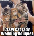 2ae4ae0108566d725af277537fbac0f0--wedding-bouquets-bridesmaid-bouquets.jpg 2ae4ae0108566d725af277537fbac0f0--wedding-bouquets-bridesmaid-bouquets.jpg