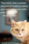 a324ab2a4c7e559c36507657342612aa--veterinary-technician-pet-quotes.jpg a324ab2a4c7e559c36507657342612aa--veterinary-technician-pet-quotes.jpg