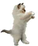 giphy (1).gif