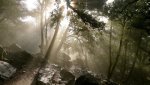 sunlight.jpg